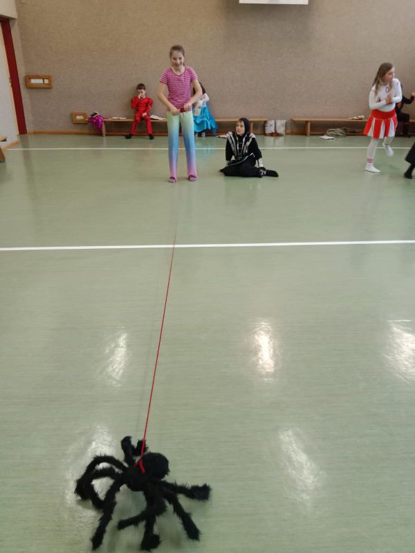 WhatsApp Image 2026-02-04 at 14.50.56