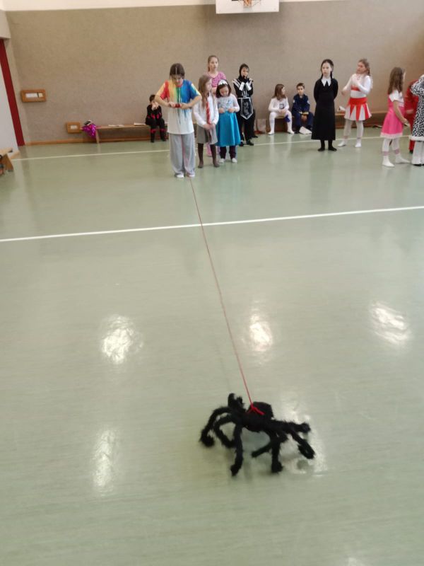 WhatsApp Image 2026-02-04 at 14.50.57 (2)