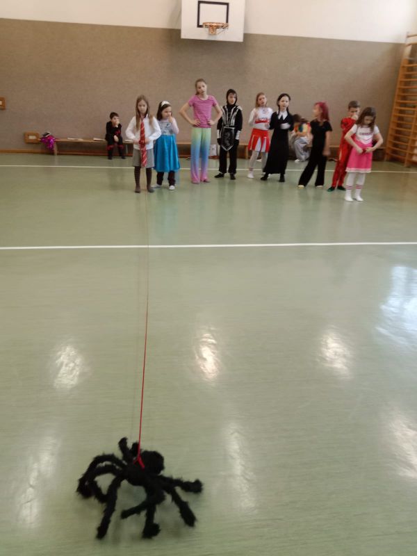 WhatsApp Image 2026-02-04 at 14.50.57 (4)