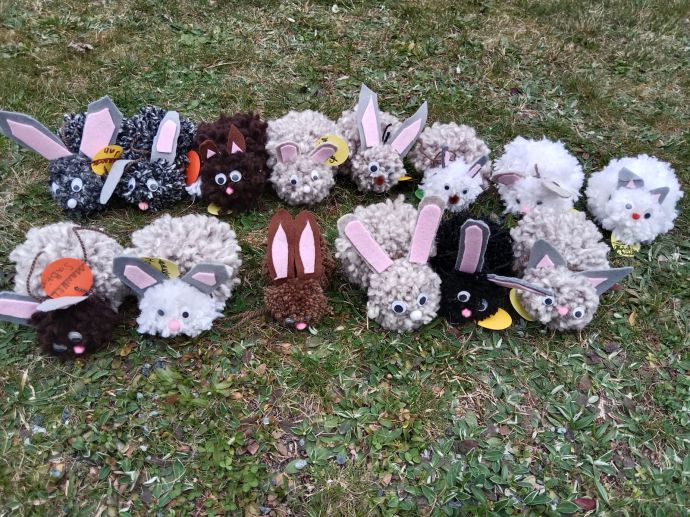 WhatsApp Image 2026-03-25 at 11.18.12