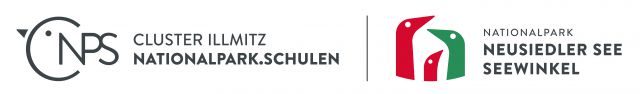 Logo_Schulcluster