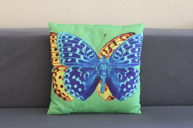 Schmetterling